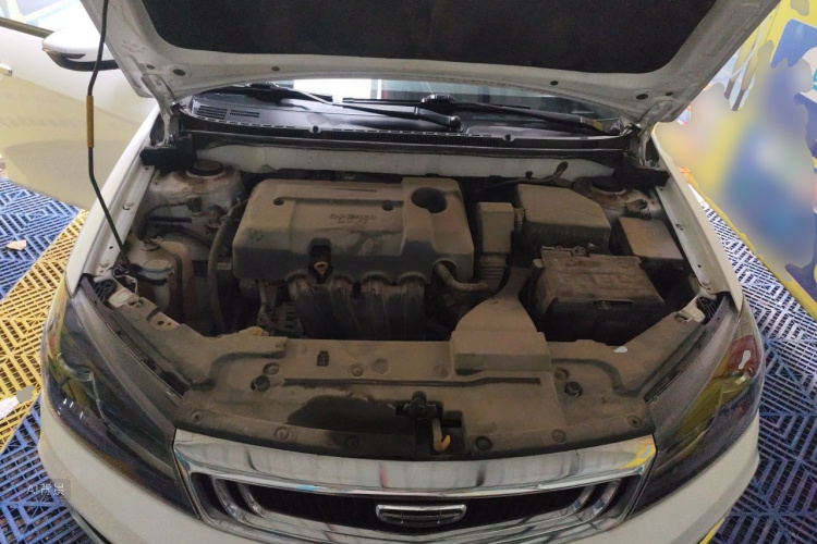 GEELY Emgrand 2021 immagine di auto #22