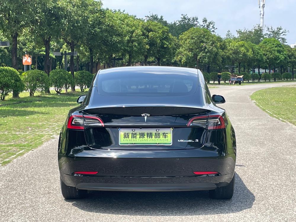 Tesla Model 3 2021 #3 Tesla Model 3 2021 car image #3