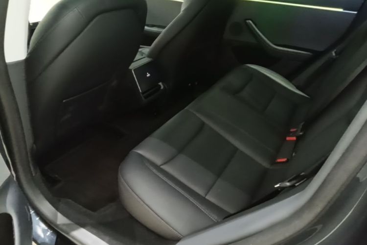 Tesla Model 3 2024 #17 Tesla Model 3 2024 car image #17