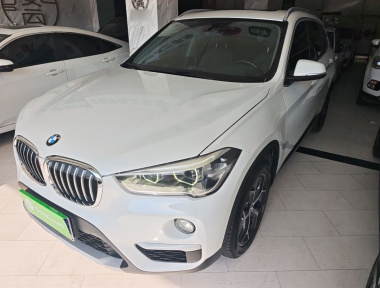 BMW X1 2019 BMW X1 2019 car image