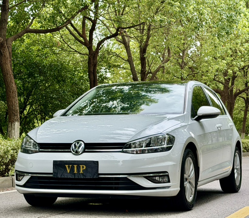 Volkswagen Golf 2019 imagen de coche 