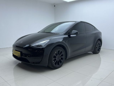 Tesla Model Y 2022 car image 