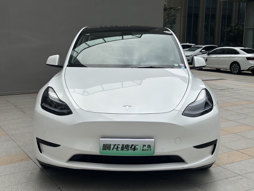 Tesla Model Y 2024 car image #3