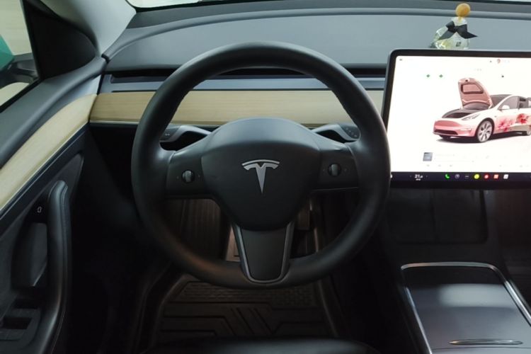 Tesla Model Y 2022 car image #11
