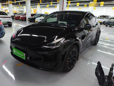 Tesla Model Y 2022 Tesla Model Y 2022 car image