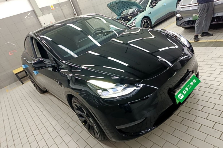 Tesla Model Y 2021 car image #6