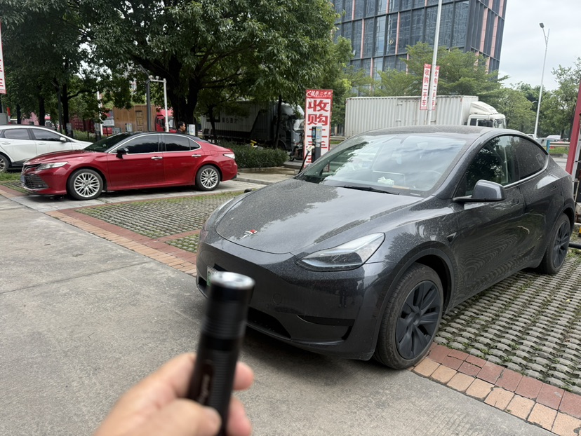 Tesla Model Y 2024 car image 