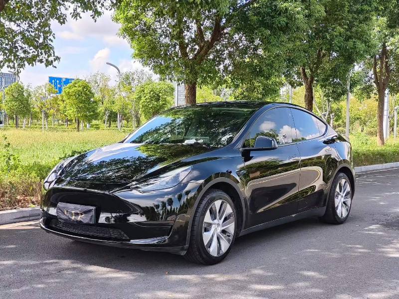 Tesla Model Y 2022 Tesla Model Y 2022 car image