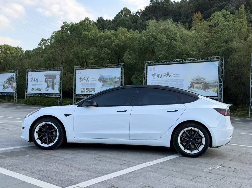 Tesla Model 3 2021 #4 Tesla Model 3 2021 изображение автомобиля #4