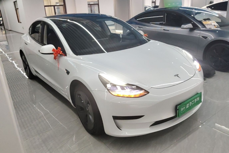 Tesla Model 3 2021 immagine di auto #4