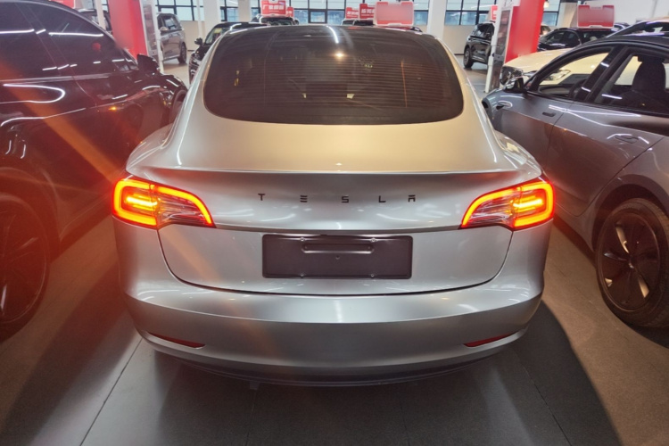 Tesla Model 3 2022 imagem de carro #6