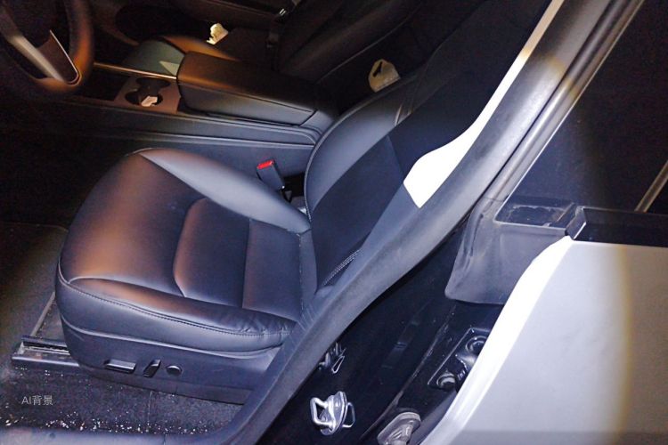 Tesla Model Y 2021 car image #17