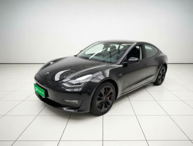 Tesla Model 3 2021 car image 