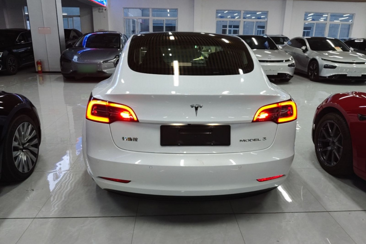 Tesla Model 3 2022 immagine di auto #6