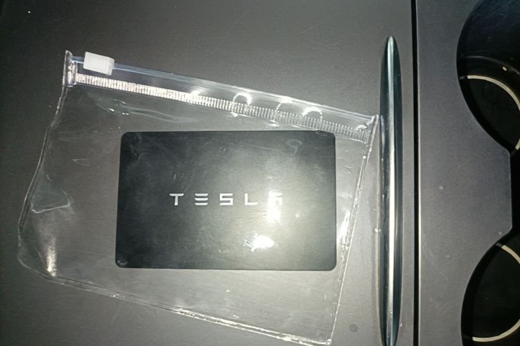 Tesla Model 3 2021 car image #9