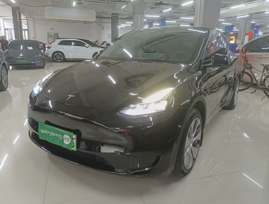 Tesla Model Y 2023 car image 