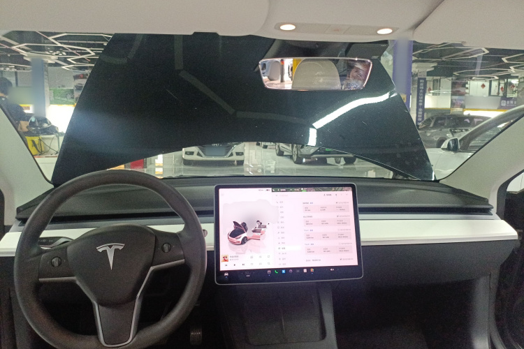 Tesla Model 3 2022 #10 Tesla Model 3 2022 car image #10