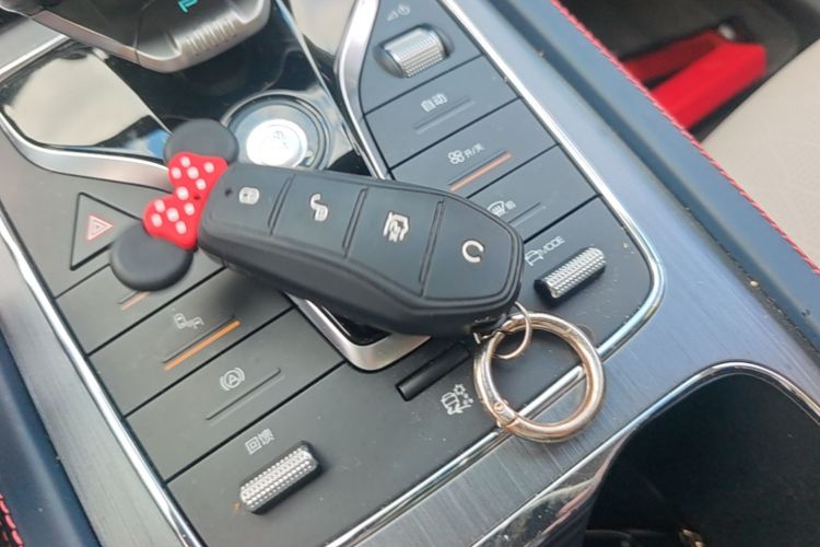 BYD Yuan Plus 2023 car image #10