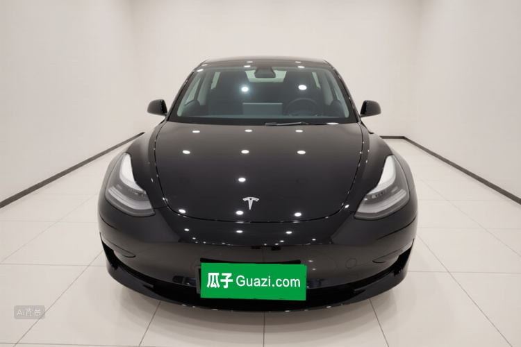 Tesla Model 3 2021 #3 Tesla Model 3 2021 car image #3