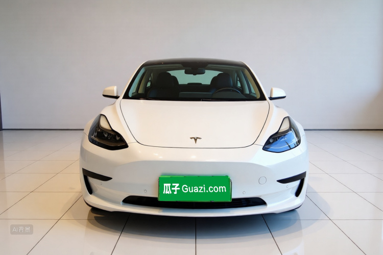 Tesla Model 3 2021 car image #3