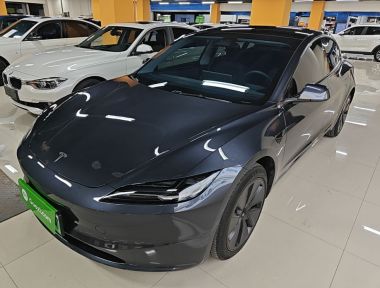 Tesla Model 3 2024 immagine di auto 