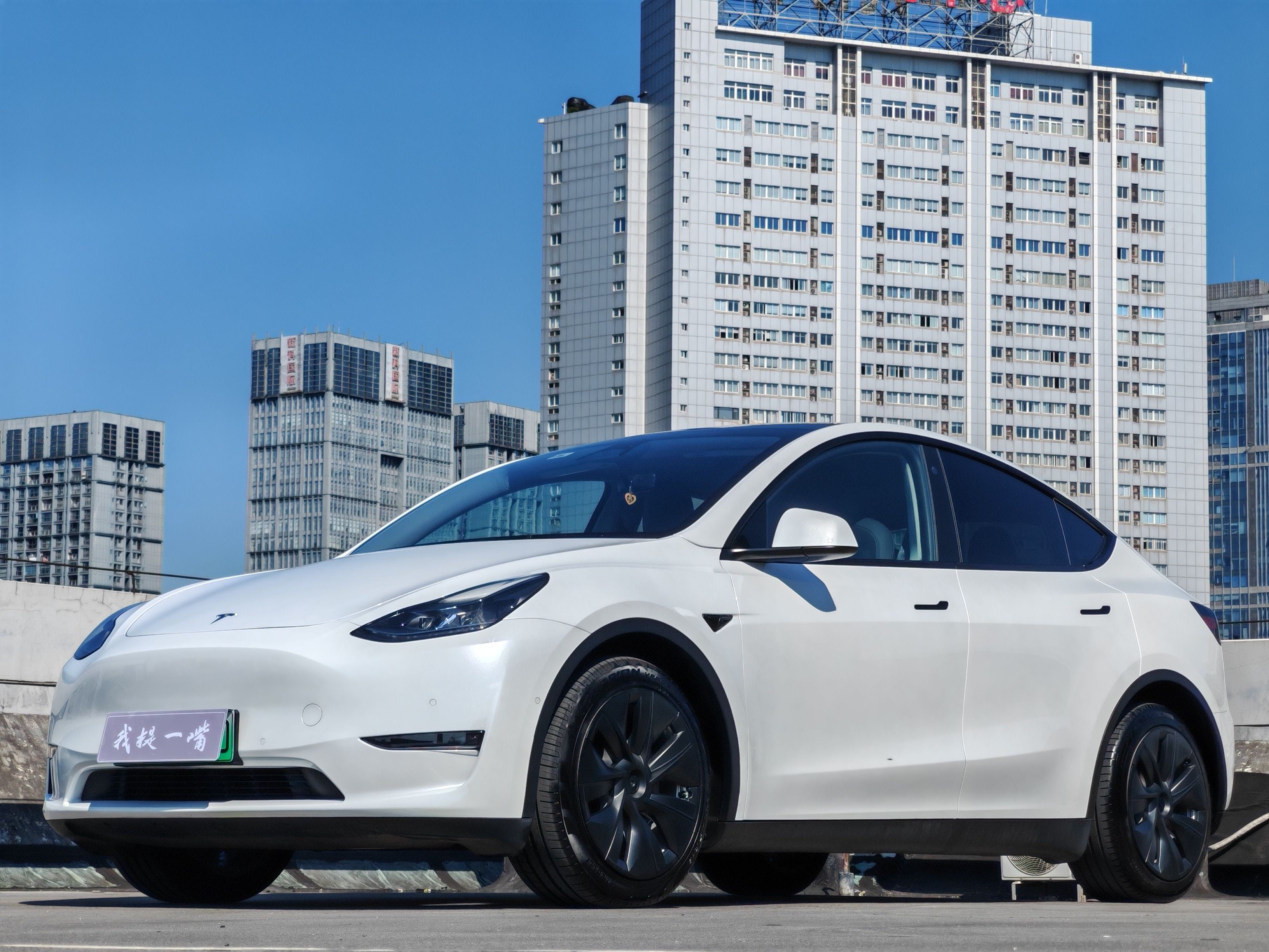 Tesla Model Y 2021 Tesla Model Y 2021 car image