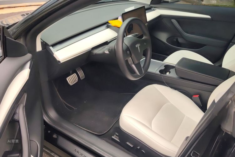 Tesla Model 3 2022 immagine di auto #18