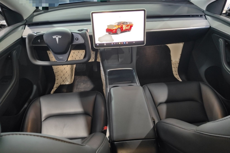 Tesla Model Y 2023 car image #10