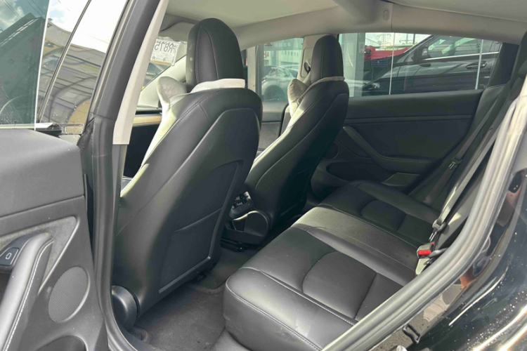 Tesla Model 3 2021 #10 Tesla Model 3 2021 car image #10
