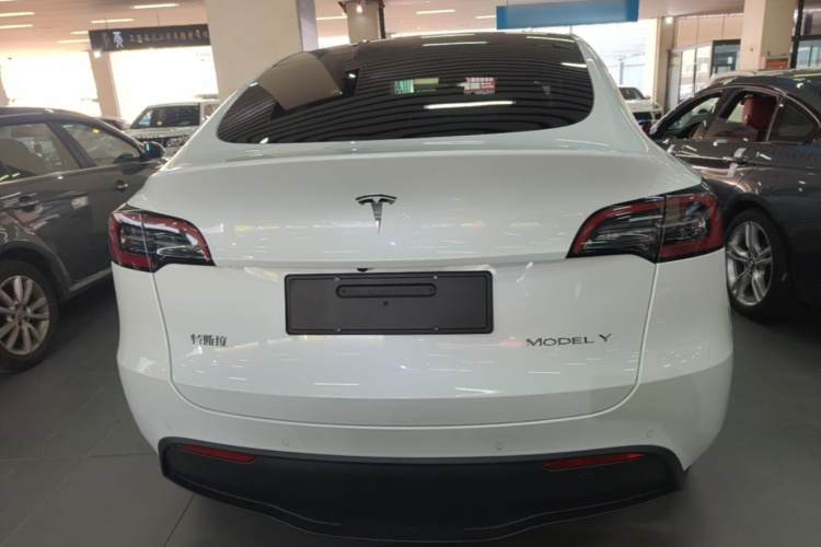 Tesla Model Y 2022 #6 Tesla Model Y 2022 car image #6