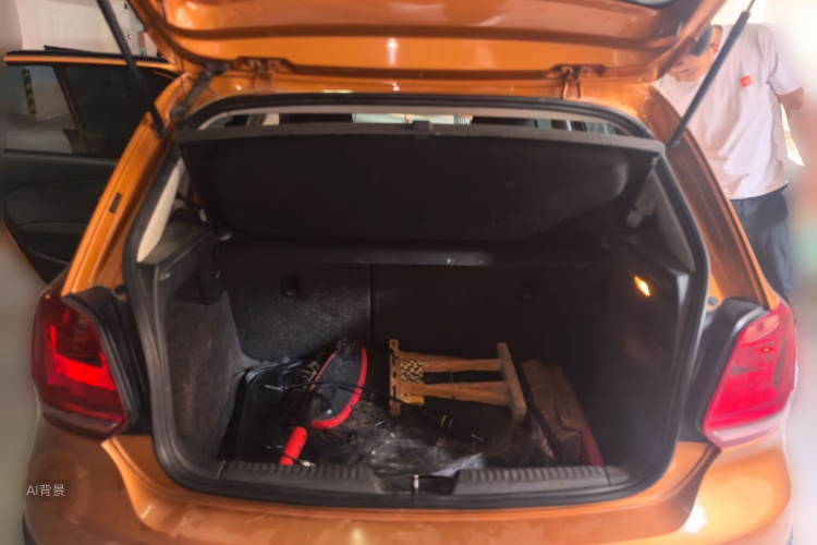 Volkswagen Polo 2014 car image #21