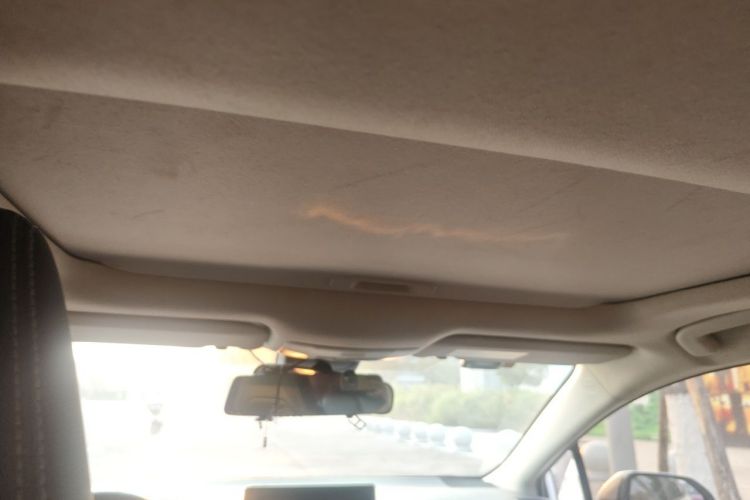Toyota Corolla 2020 car image #16