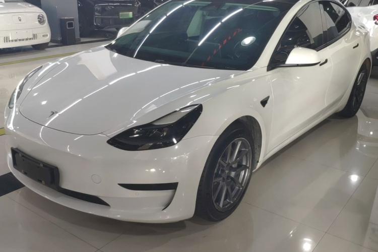 Tesla Model 3 2021 #2 Tesla Model 3 2021 car image #2