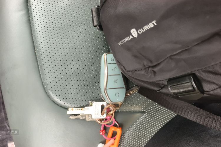 BYD Han 2022 صورة سيارة #10