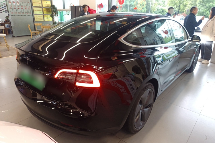 Tesla Model 3 2021 #7 Tesla Model 3 2021 car image #7