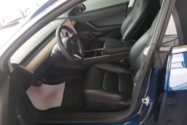 Tesla Model 3 2020 car image #15