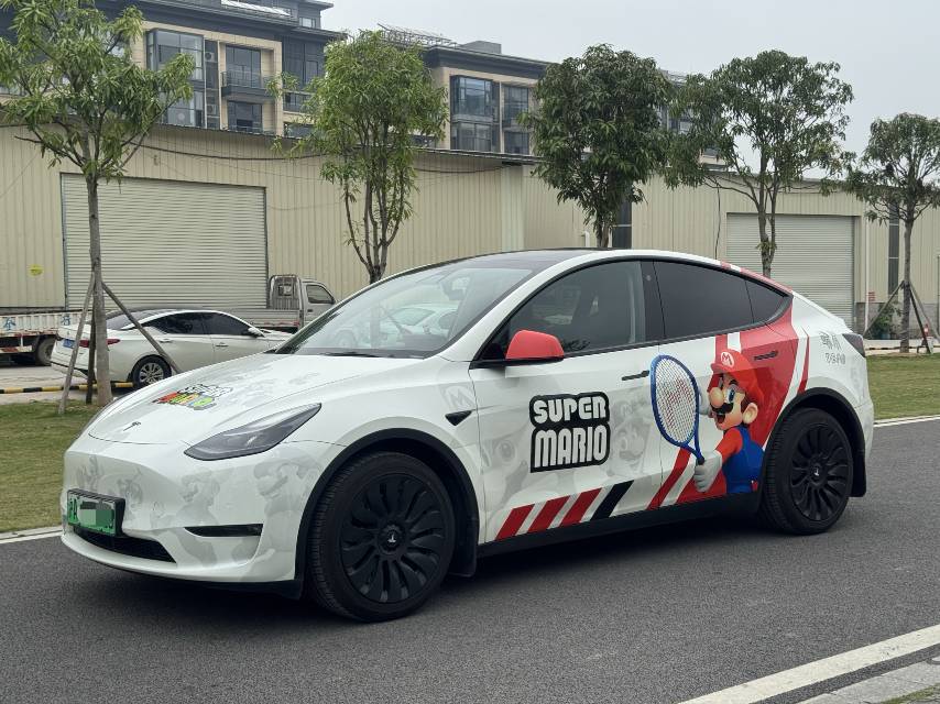 Tesla Model Y 2021 Tesla Model Y 2021 car image