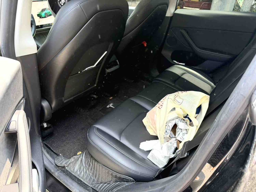 Tesla Model Y 2023 car image #3