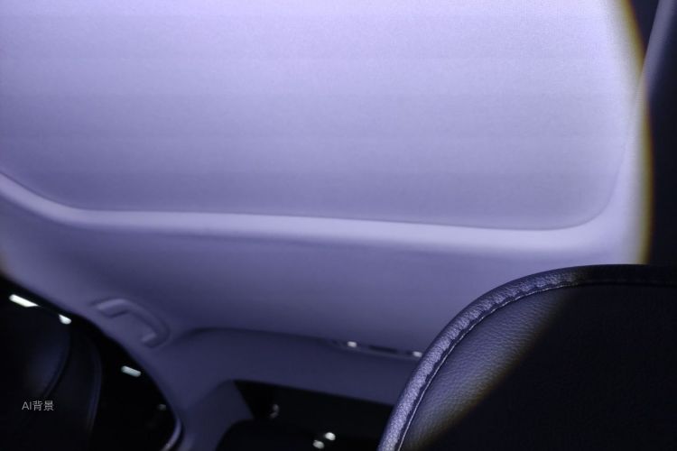 Volkswagen Bora 2020 car image #20
