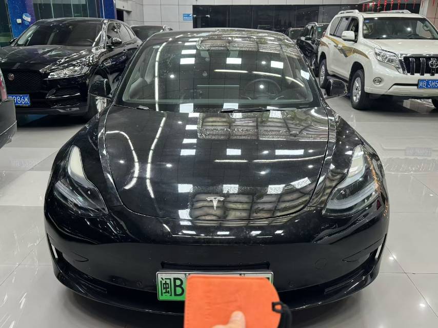 Tesla Model 3 2023 #2 Tesla Model 3 2023 car image #2