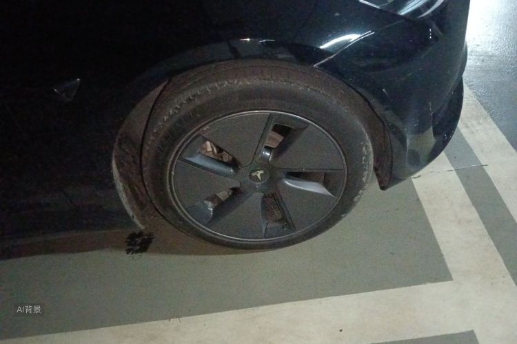 Tesla Model 3 2023 car image #9