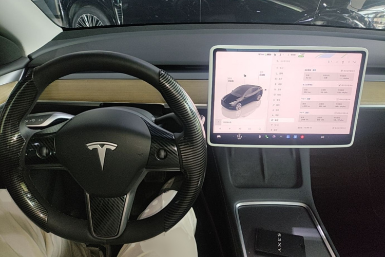 Tesla Model Y 2023 #10 Tesla Model Y 2023 car image #10