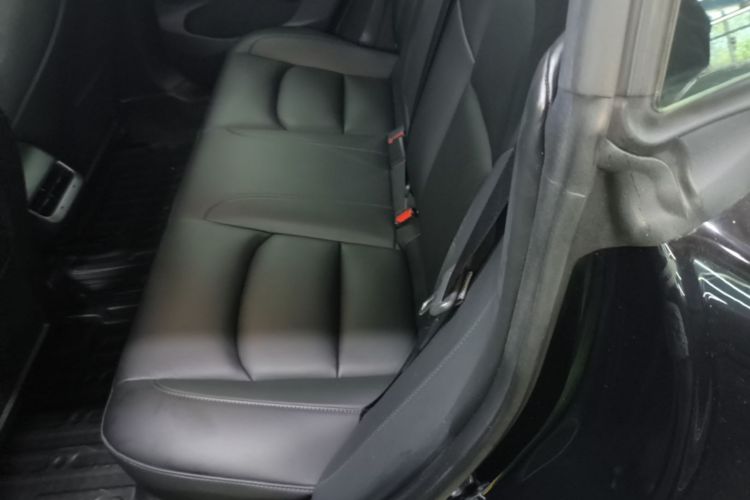 Tesla Model 3 2021 #13 Tesla Model 3 2021 car image #13