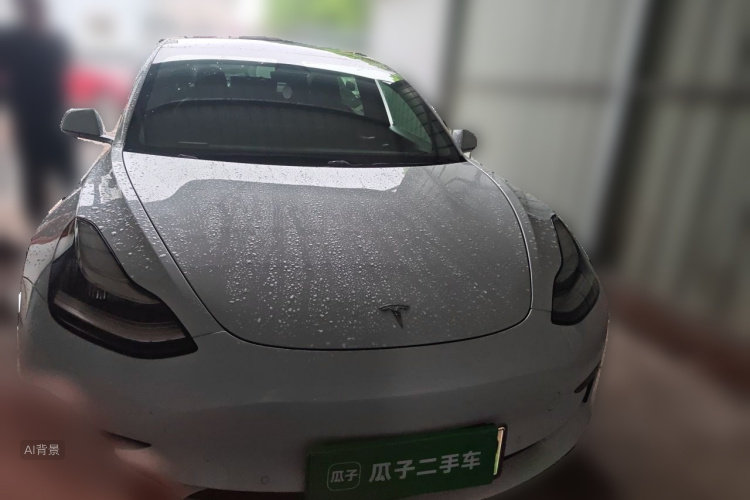 Tesla Model 3 2020 #3 Tesla Model 3 2020 car image #3
