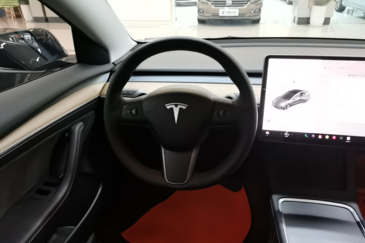 Tesla Model 3 2021 immagine di auto #11