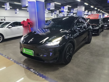 Tesla Model Y 2023 Tesla Model Y 2023 car image