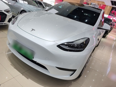 Tesla Model Y 2022 car image 