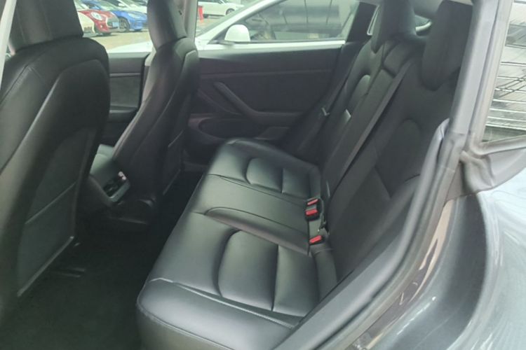 Tesla Model 3 2020 #17 Tesla Model 3 2020 صورة سيارة #17