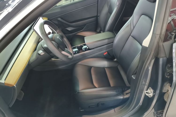 Tesla Model 3 2020 car image #15