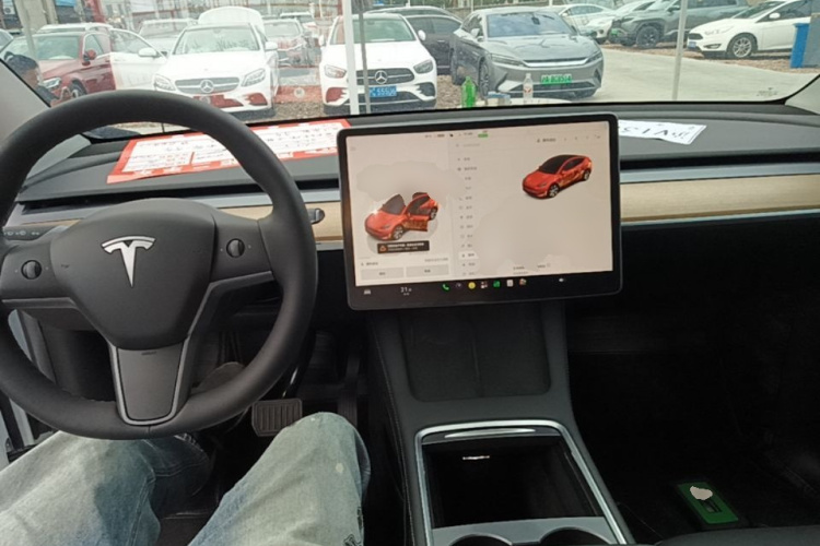Tesla Model Y 2022 #10 Tesla Model Y 2022 car image #10